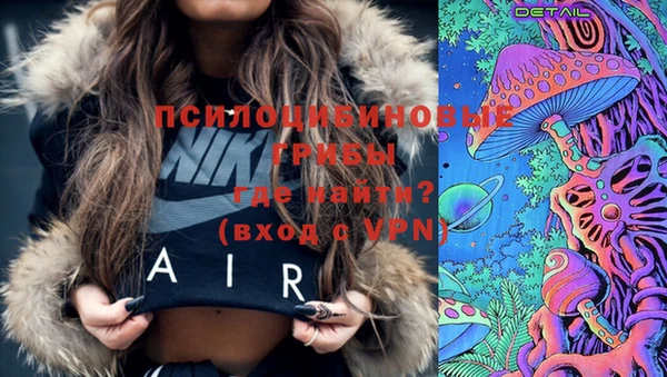 дурь Козельск